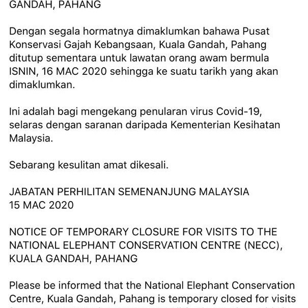 Kuala Gandah Elephant Sanctuary-彭亨必去景点