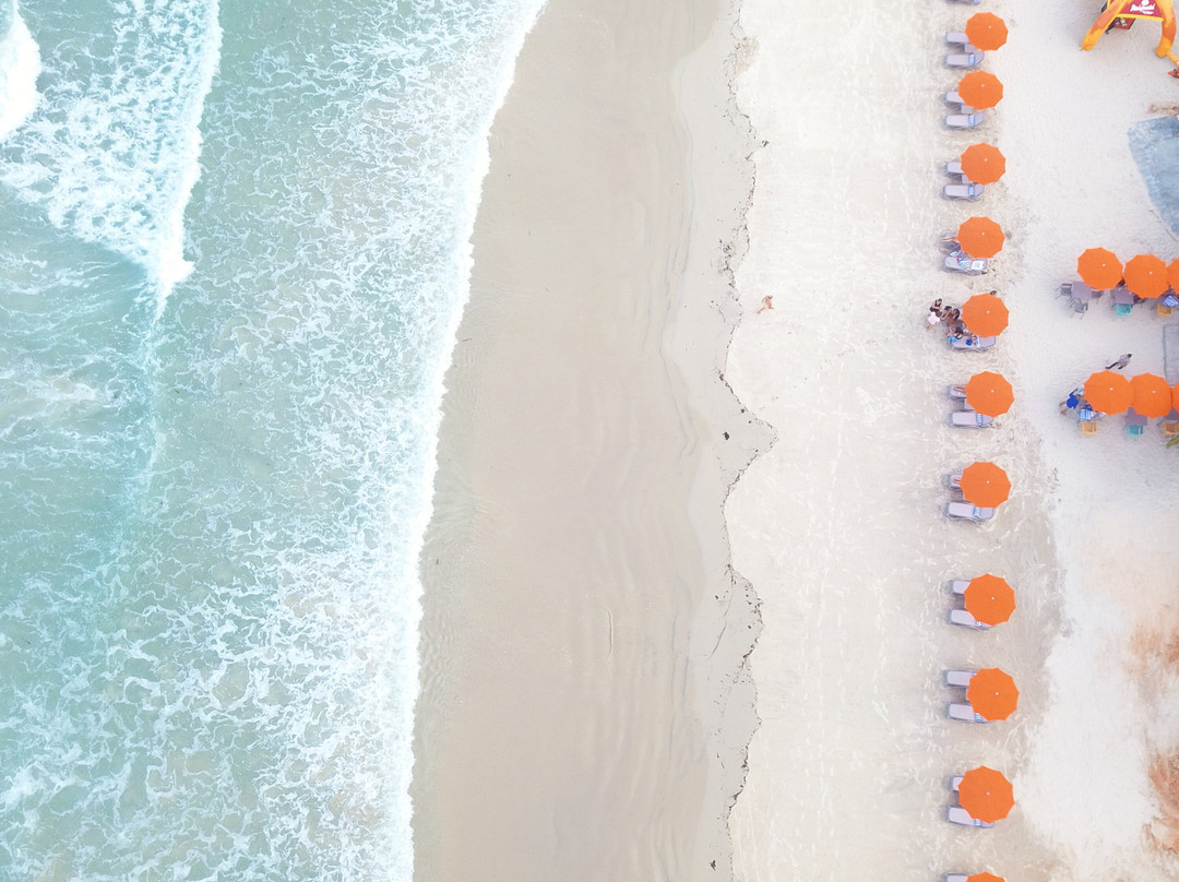 Paradise Tamarindo主图