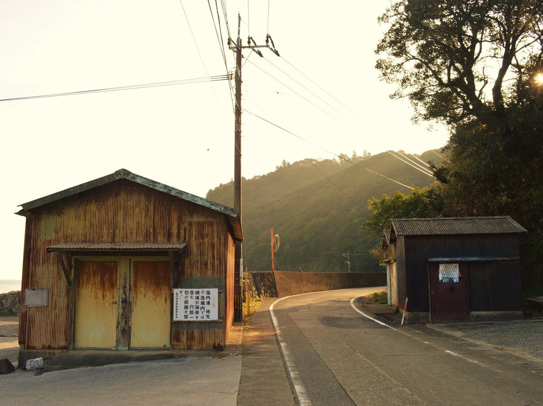 Onyujima Island-佐伯市必去景点