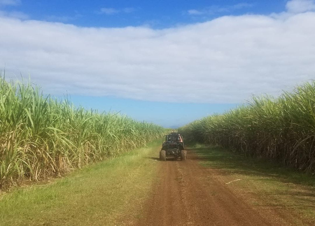 Crazy Wheels-拉罗马纳必去景点