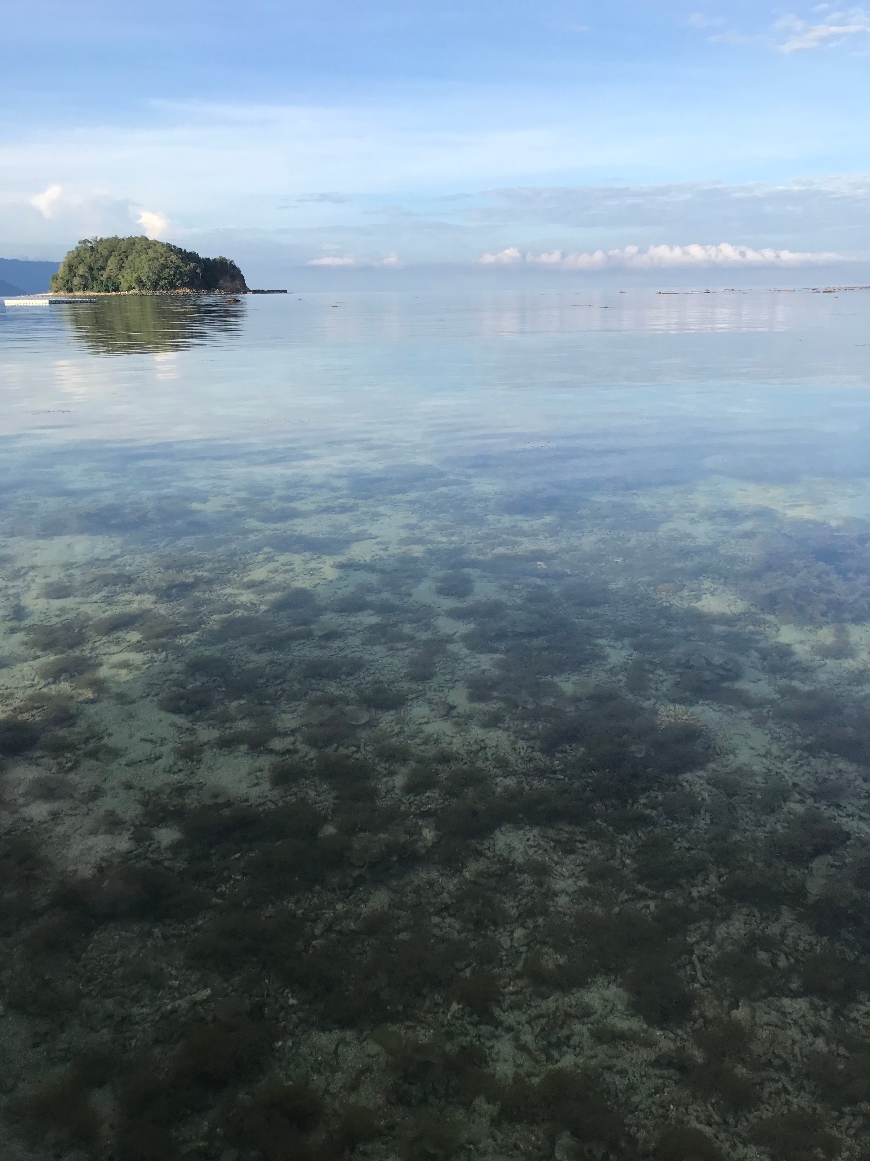 Bigfin Beach Resort-酒店景观