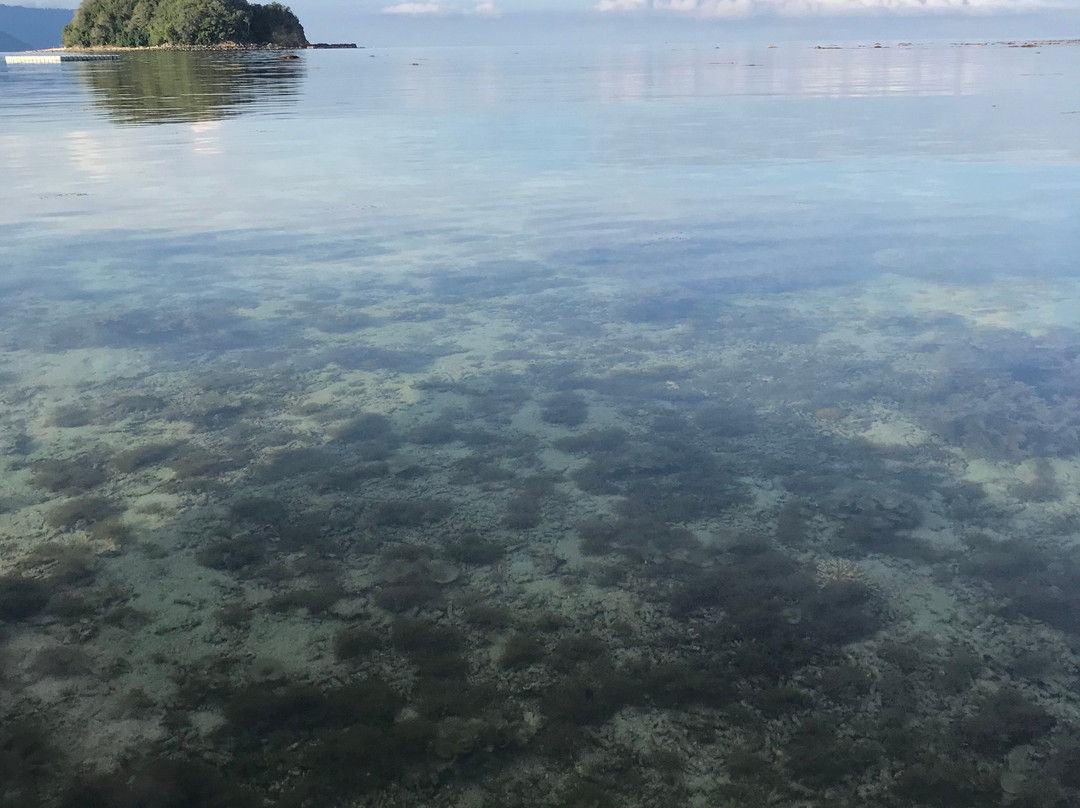 Bigfin Beach Resort主图