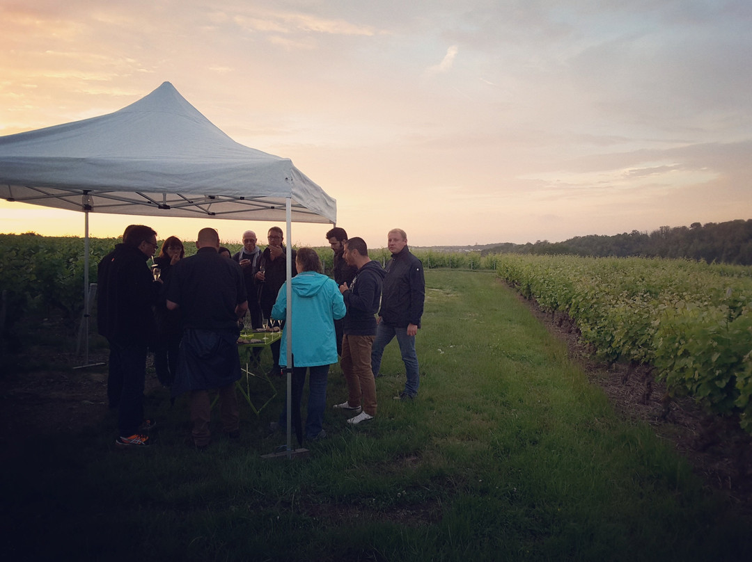 Rendez-Vous dans les Vignes-Chancay必去景点
