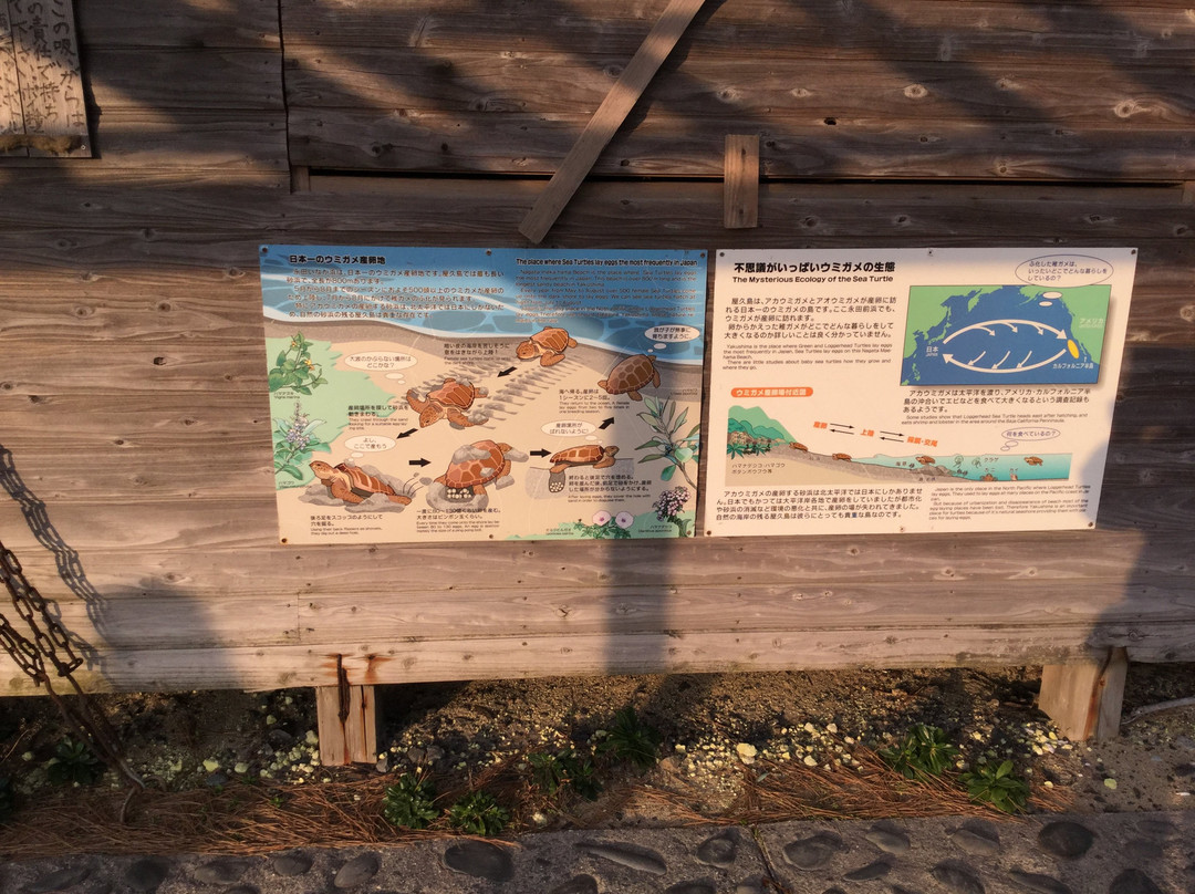 Nagata Inakahama景点图片