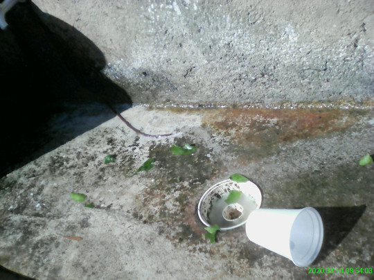 Manoel Manzano Park-Osasco必去景点