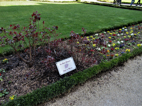 Jardin Bossuet-莫城必去景点