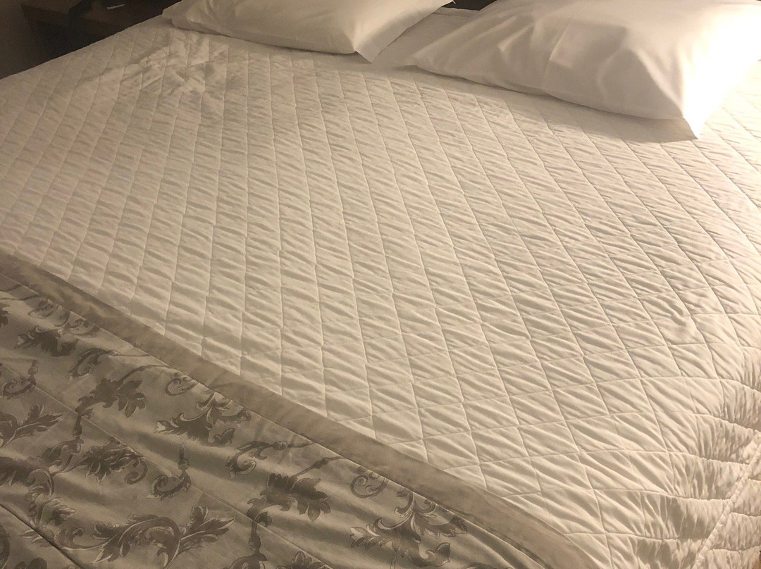 Hotel Campo Largo Comfort主图