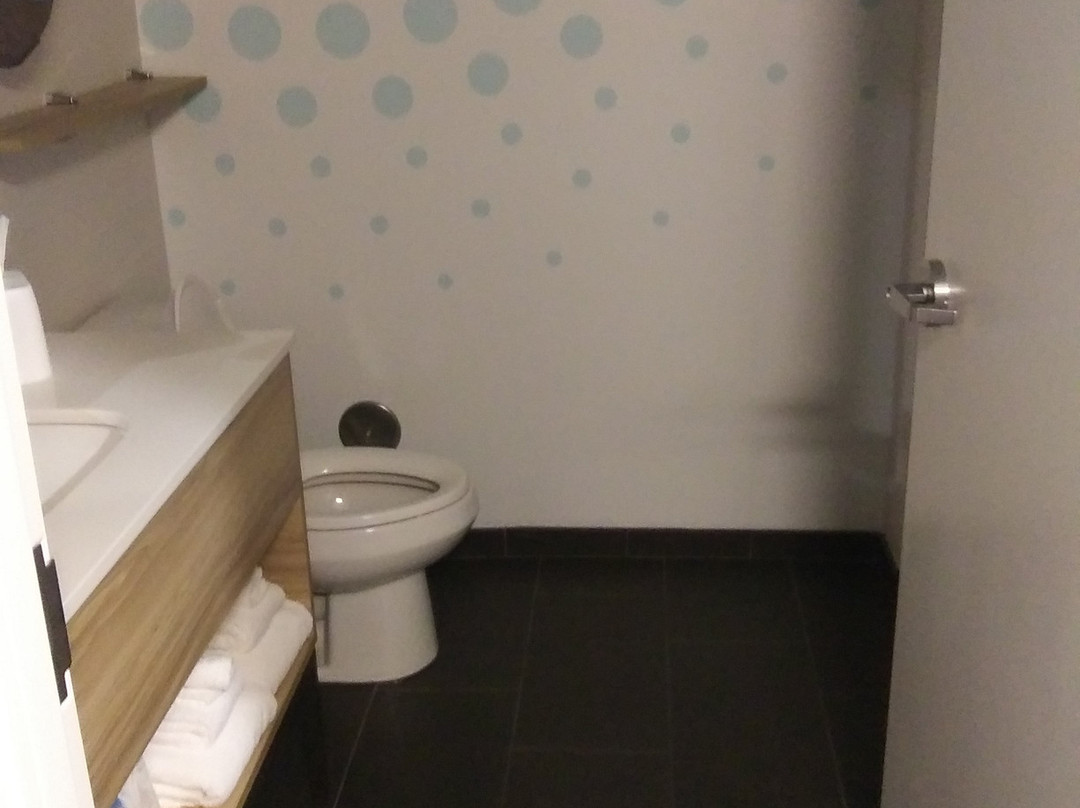 Tru by Hilton Auburn主图