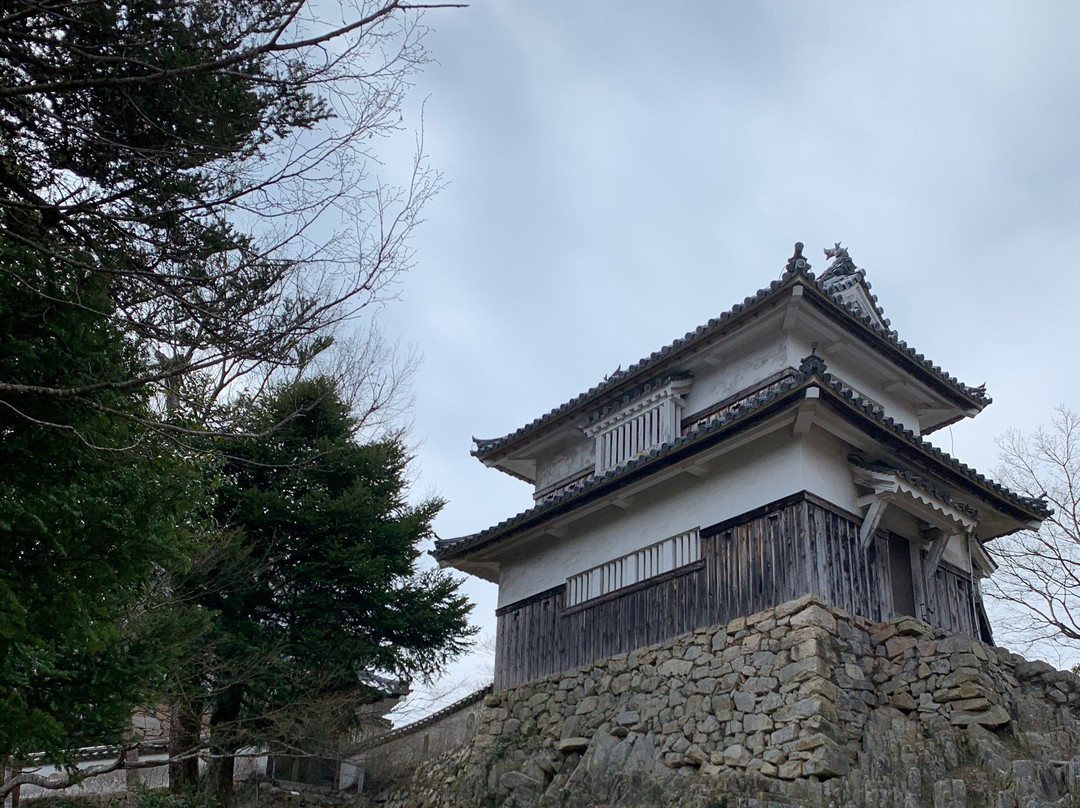 Bitchu Matsuyama Castle景点图片