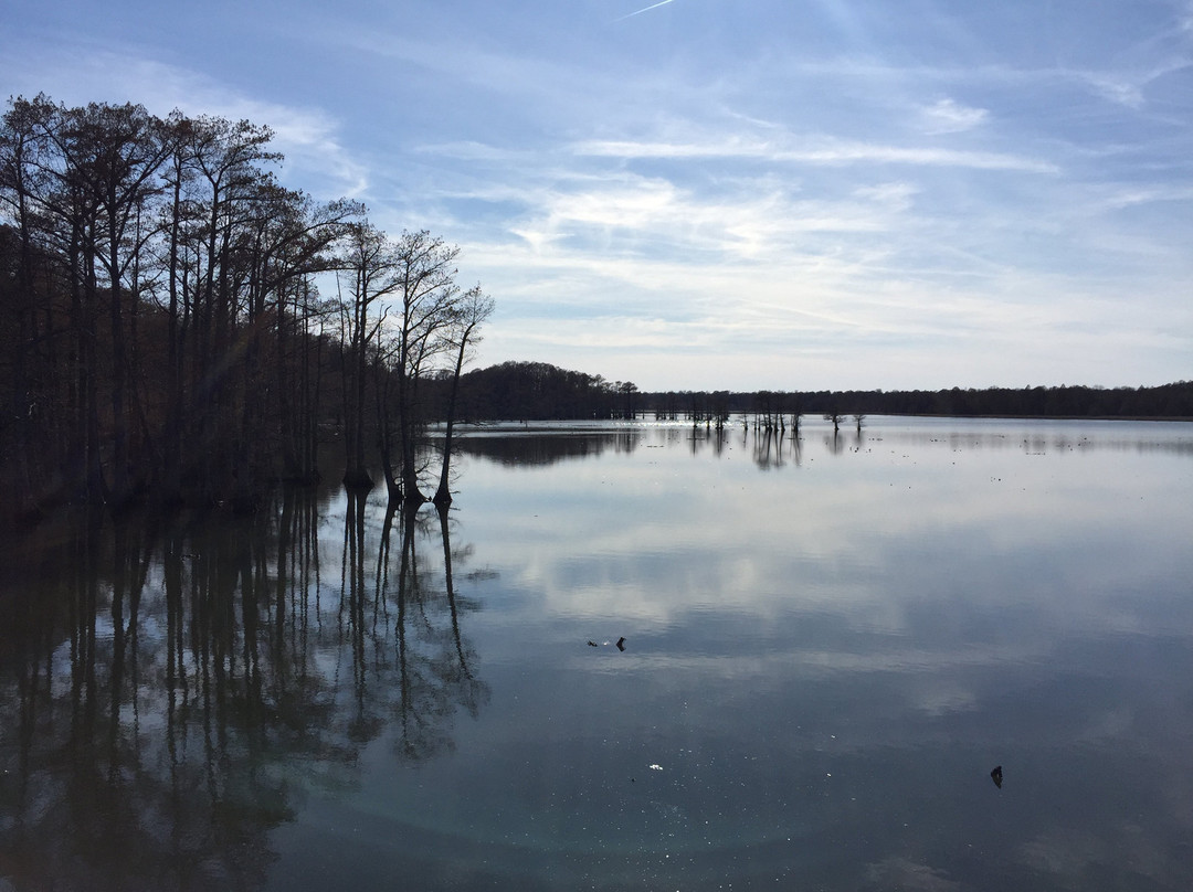 Reelfoot National Wildlife Refuge-尤宁城必去景点