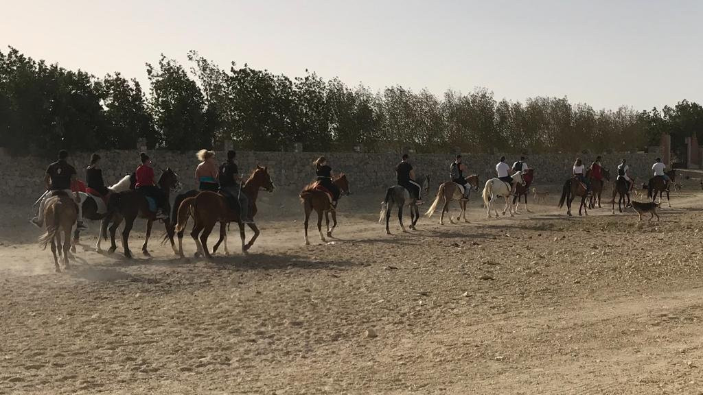 Egypt Horse Ride-赫尔格达必去景点
