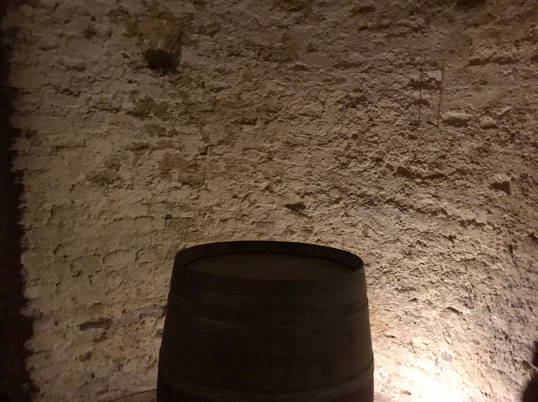 Bodegas del Real Cortijo-Cortijo de San Isidro必去景点