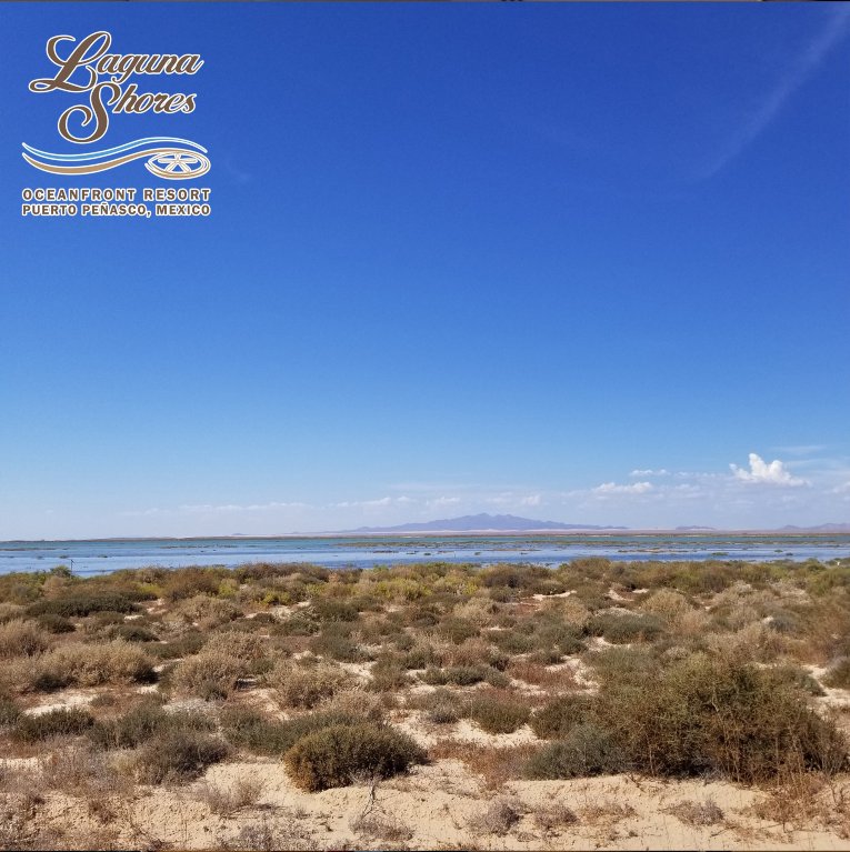 Laguna Shores Resort-portrait