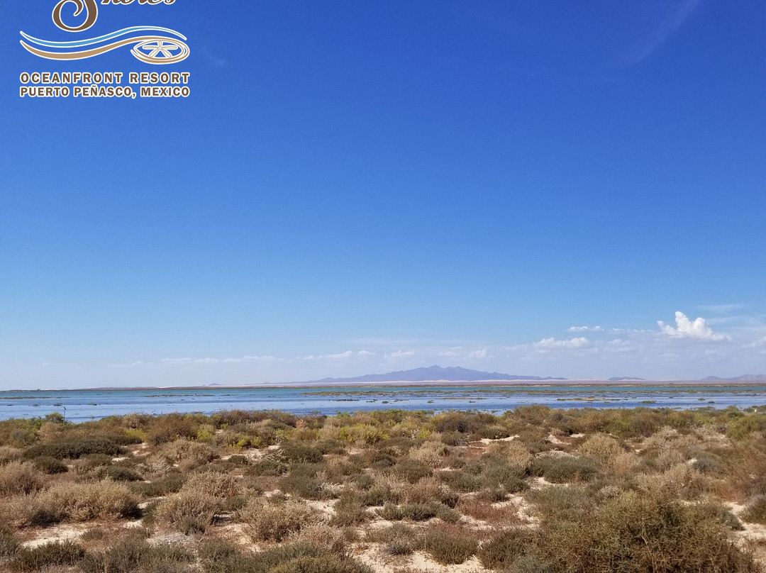 Laguna Shores Resort主图