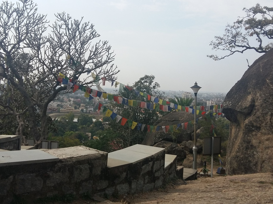 Tagore Hill景点图片