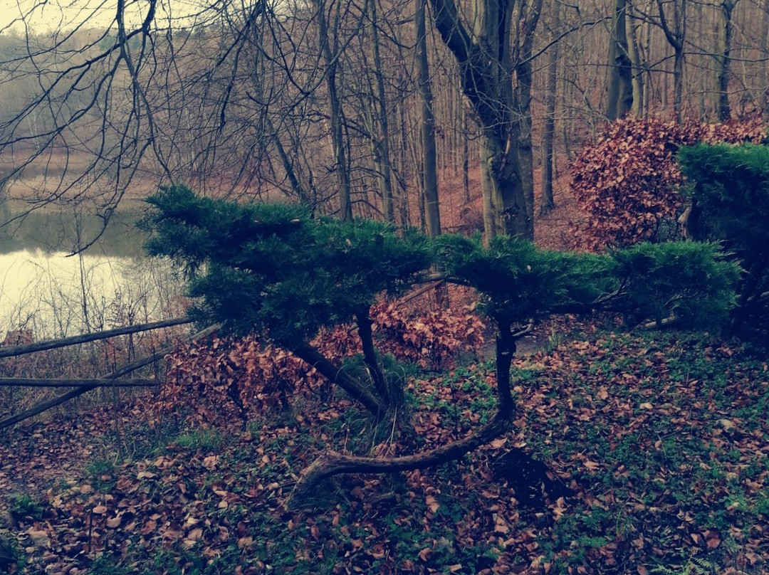 Waldschenke am Baa-See景点图片