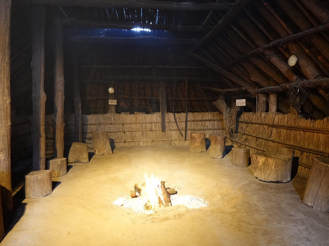 Tokyo Metropolitan Archaeological Center-多摩市必去景点