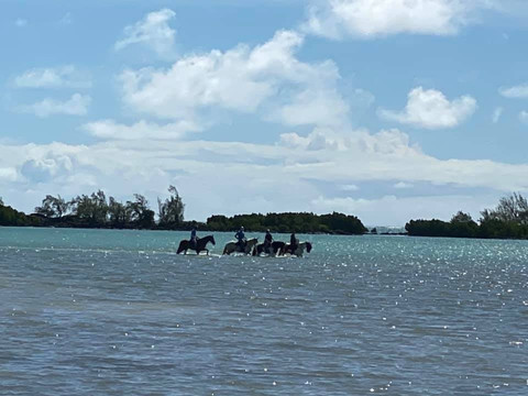 Les Calèches du Paradis-大湾必去景点