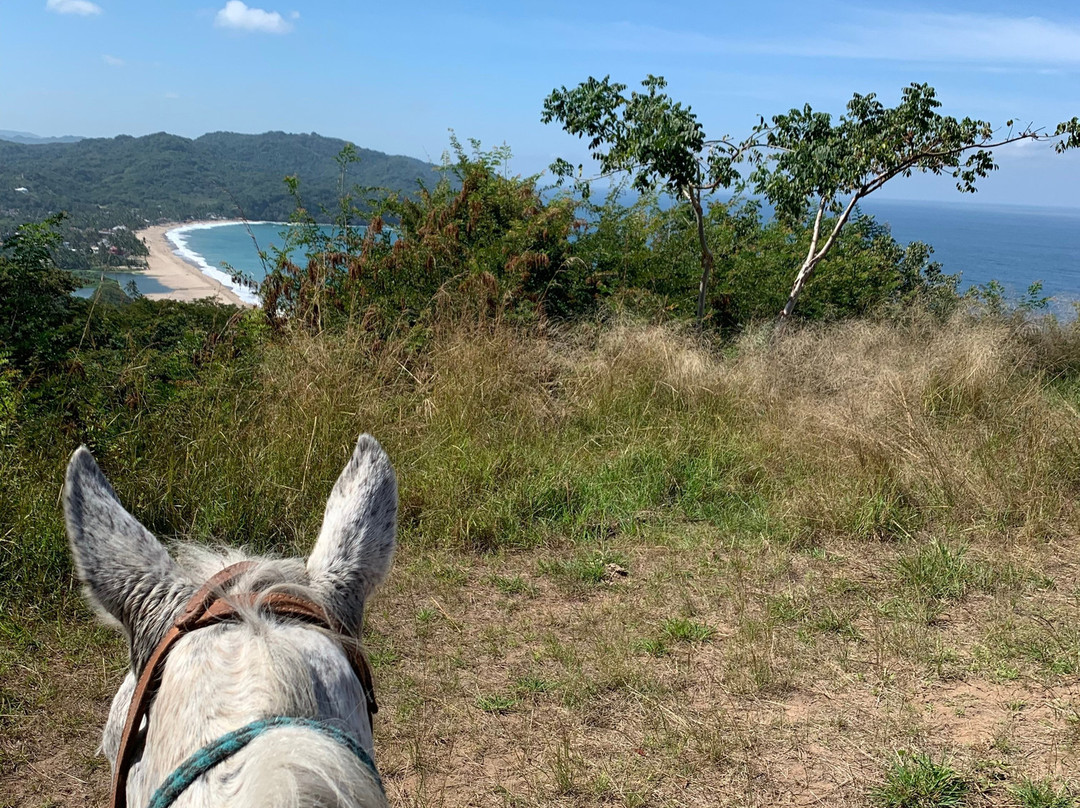 Lo de Marcos Horseback Rides & Adventure Tours景点图片