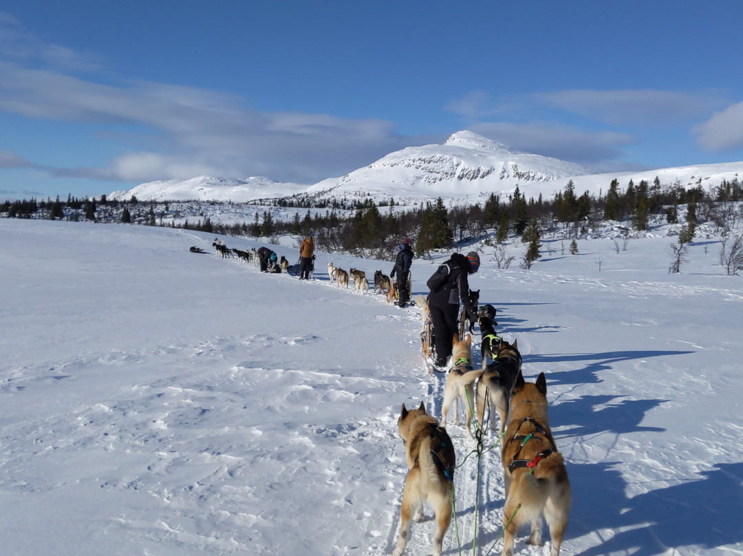 Eywa's Trails Norway景点图片