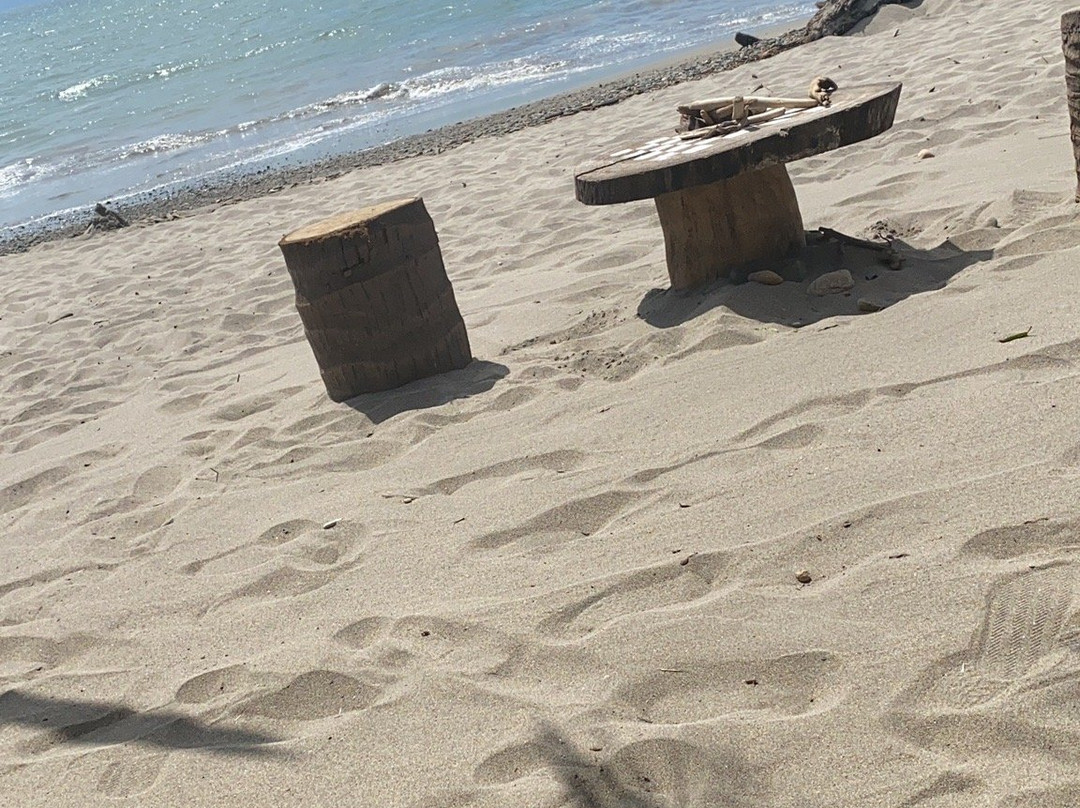 Playa Boca de Tomates景点图片