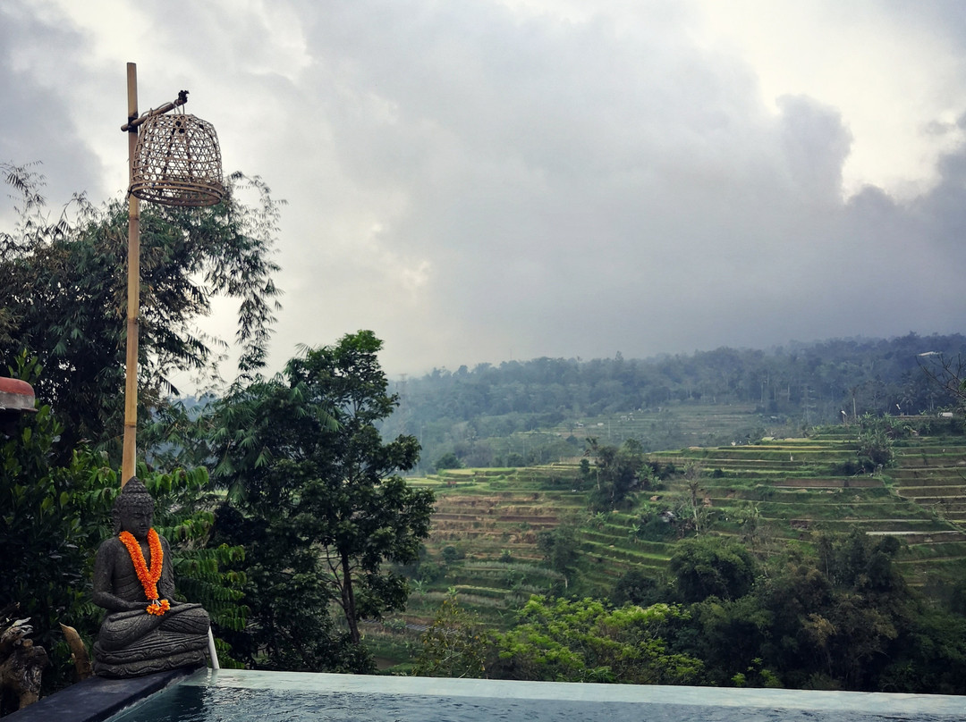Pondok Nyoman Bedugul by Agata主图