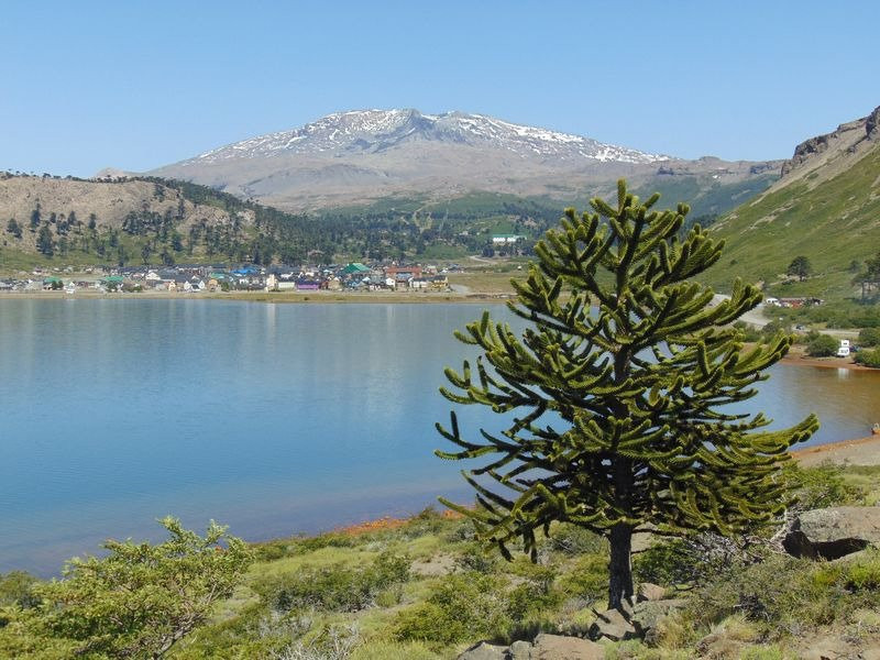 Lago Caviahue景点图片