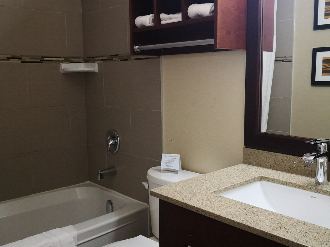 Comfort Inn Airport West主图