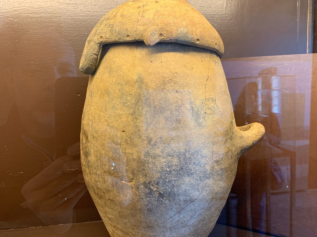 Museo Etrusco Di Populonia景点图片