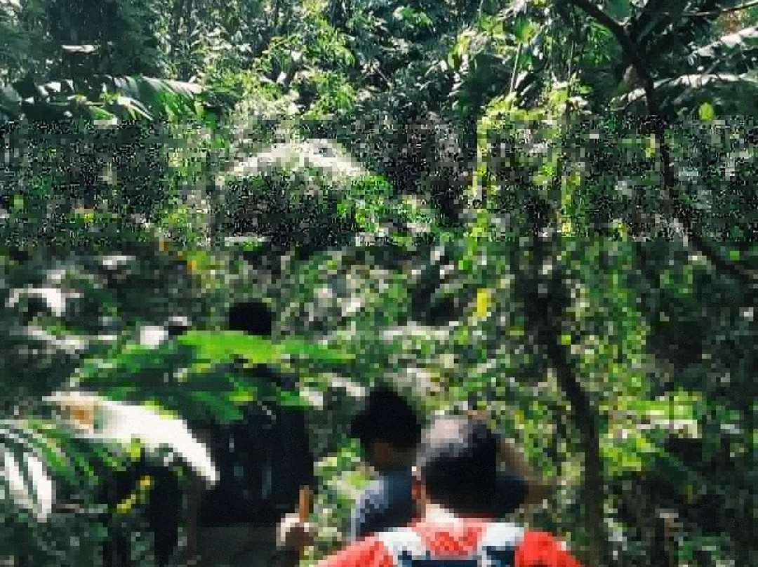 Portobelo Explorer景点图片