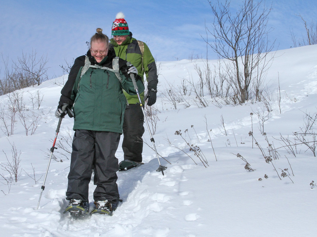 The Duluth Experience-德卢斯必去景点