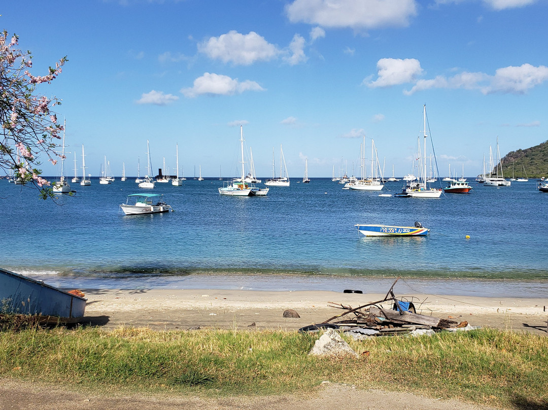 Lumbadive Padi 5 Stars-Carriacou Island必去景点