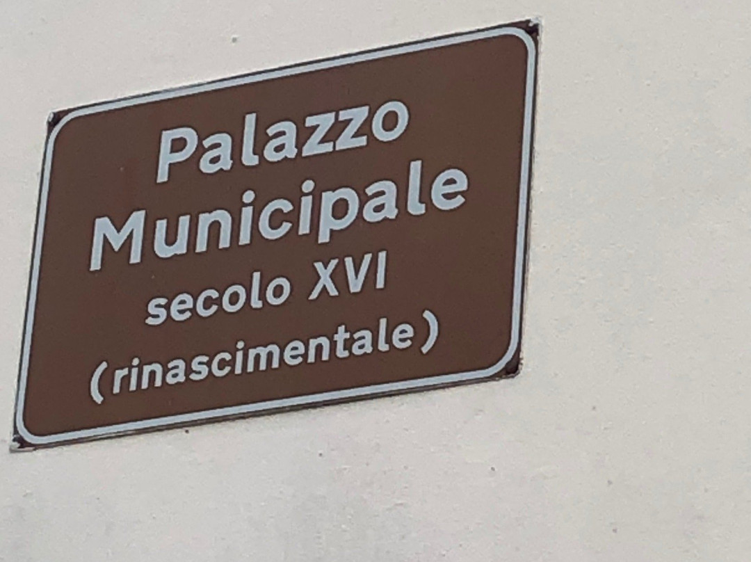 Sale Museali del Palazzo Municipale景点图片