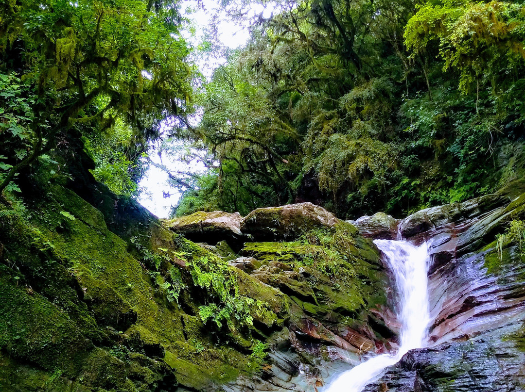 La Cascada del Rio Noque景点图片