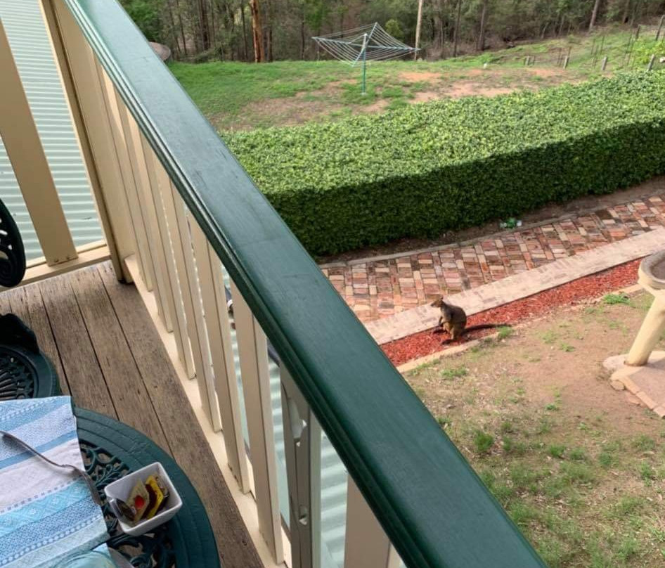 逼姆巴登山度假村主图