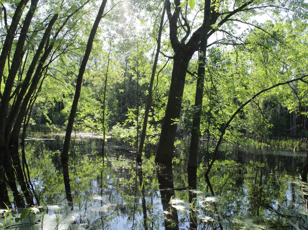 Ephraim Preserve at Anderson Pond-Ephraim必去景点