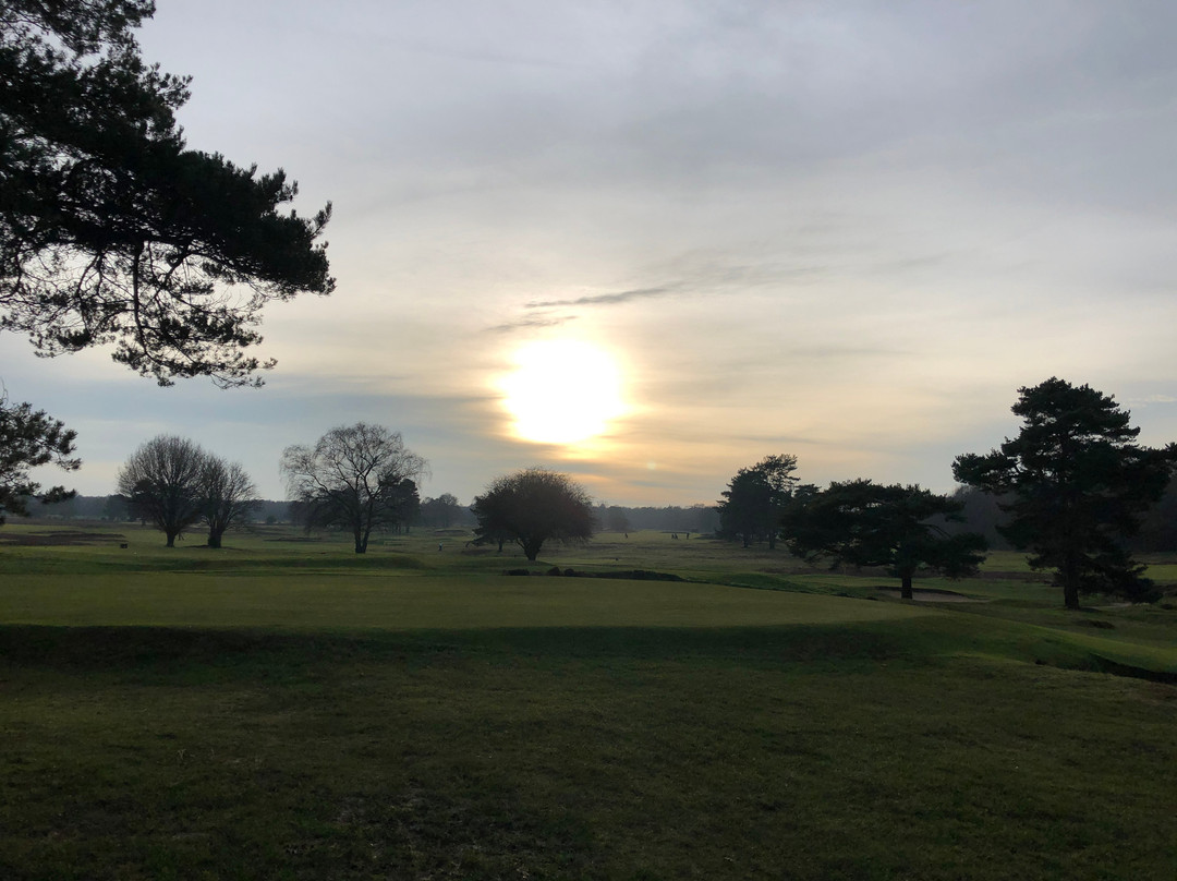 Walton Heath Golf Club景点图片