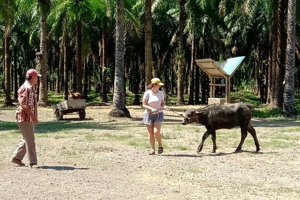 Nacarcosta Wildlife Adventure景点图片