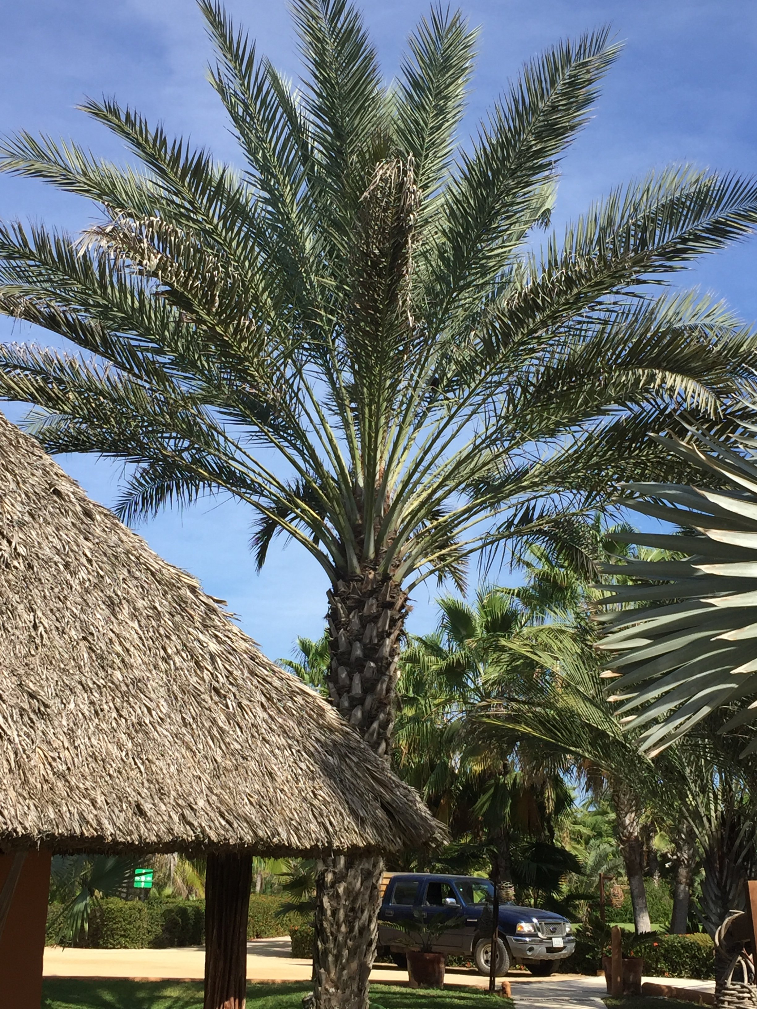 Puerta Paraíso Hotel Boutique-浴室