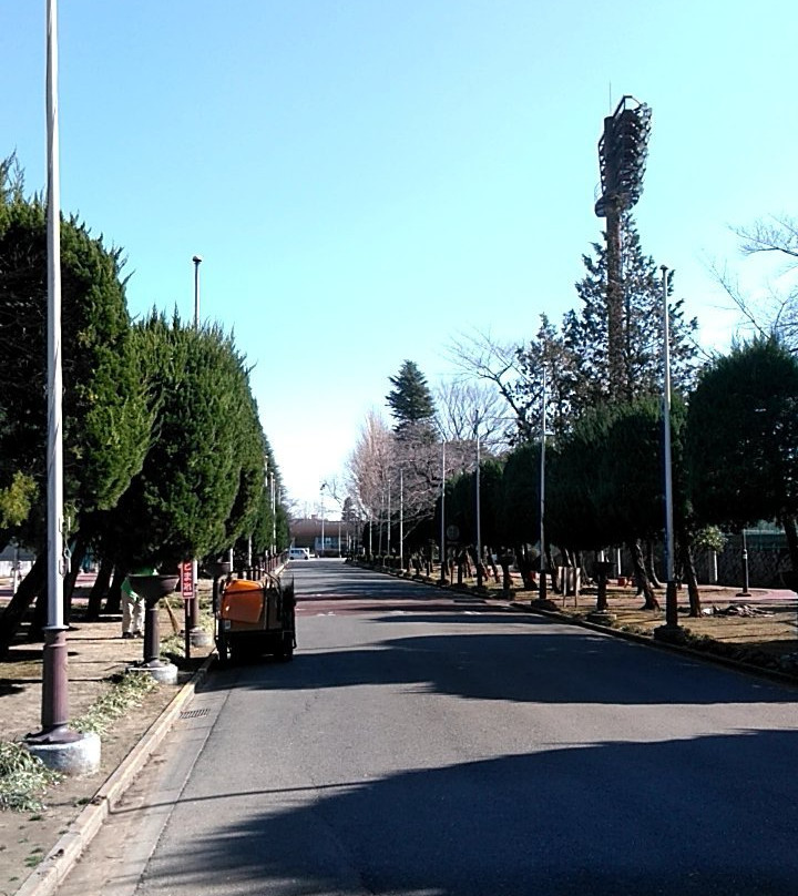 Aokicho Park-川口市必去景点