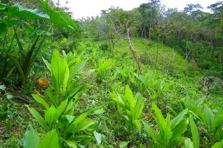 Thomas Reinholz Work-Life-Balance Mentaltraining-El Guapote必去景点