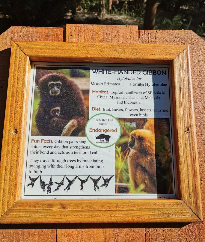 Santa Fe College Teaching Zoo-盖恩斯维尔必去景点