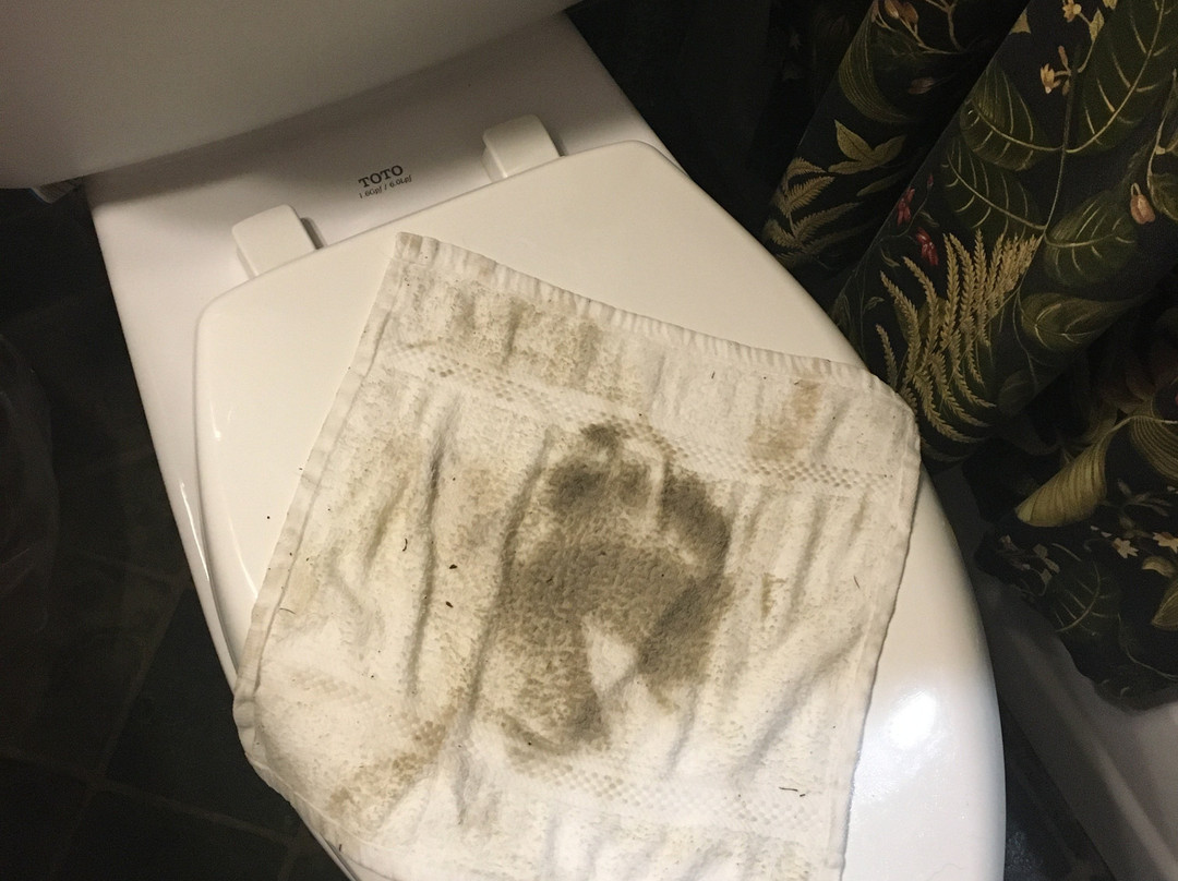 The Village Inns of Blowing Rock: Village Inn主图