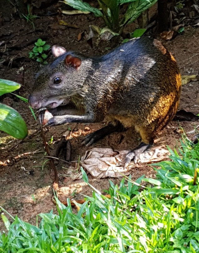 La Purruja Lodge主图