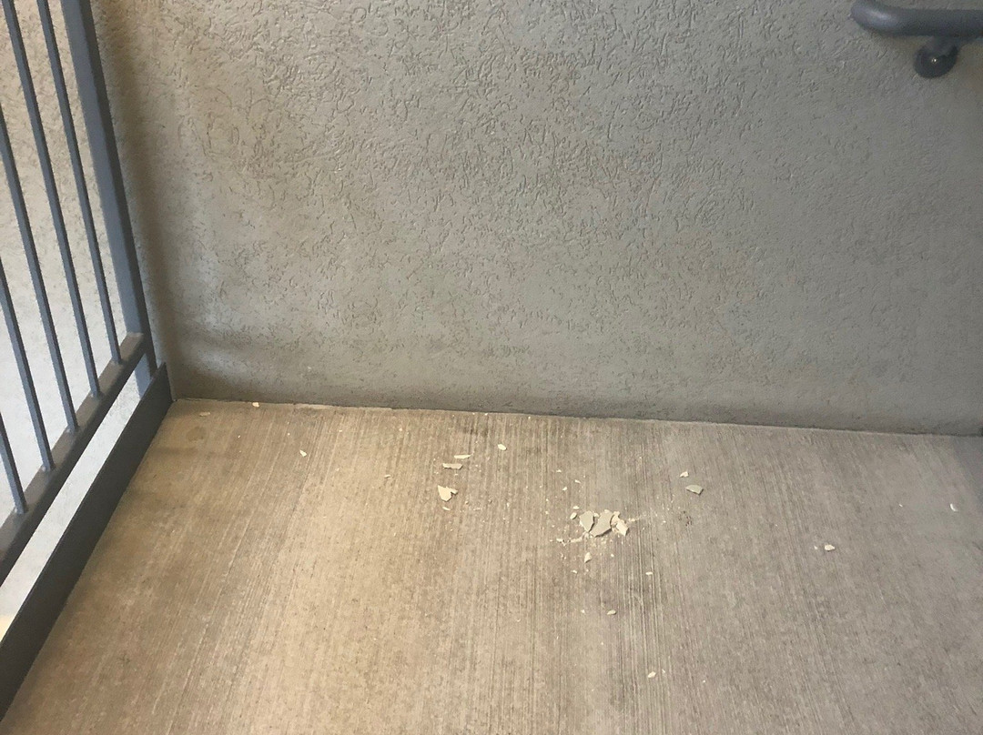 Holiday Inn Madison At The American Center By IHG主图