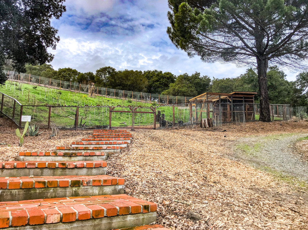 San Damiano Retreat-丹维尔必去景点