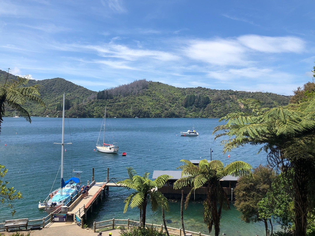 Lochmara Bay旅游攻略图片