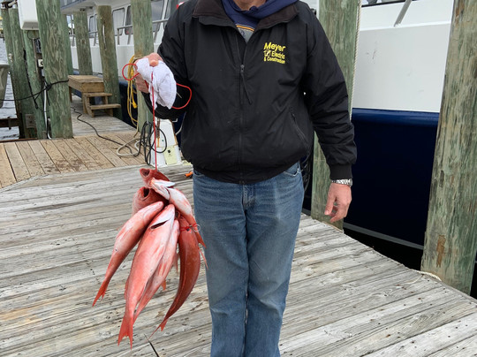 Reel Surprise Charters-橙色海湾必去景点