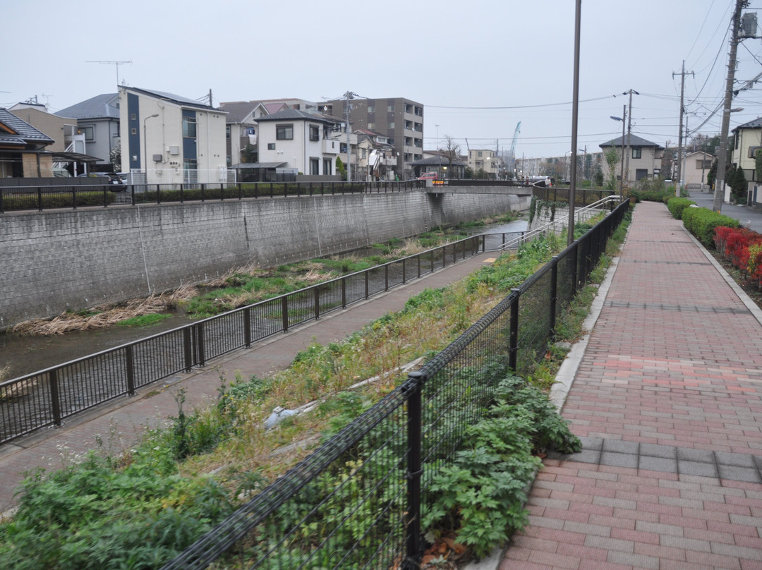 Shakuji River Green Road-板桥区必去景点