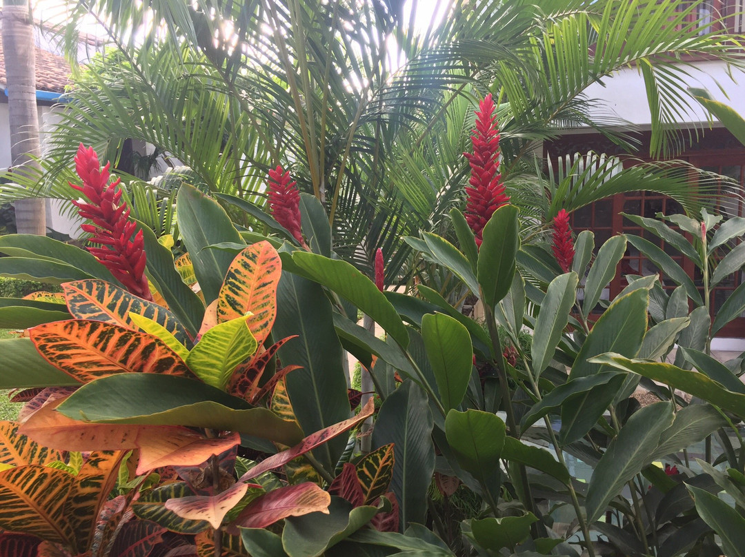 Hotel Casa Blanca Boutique主图